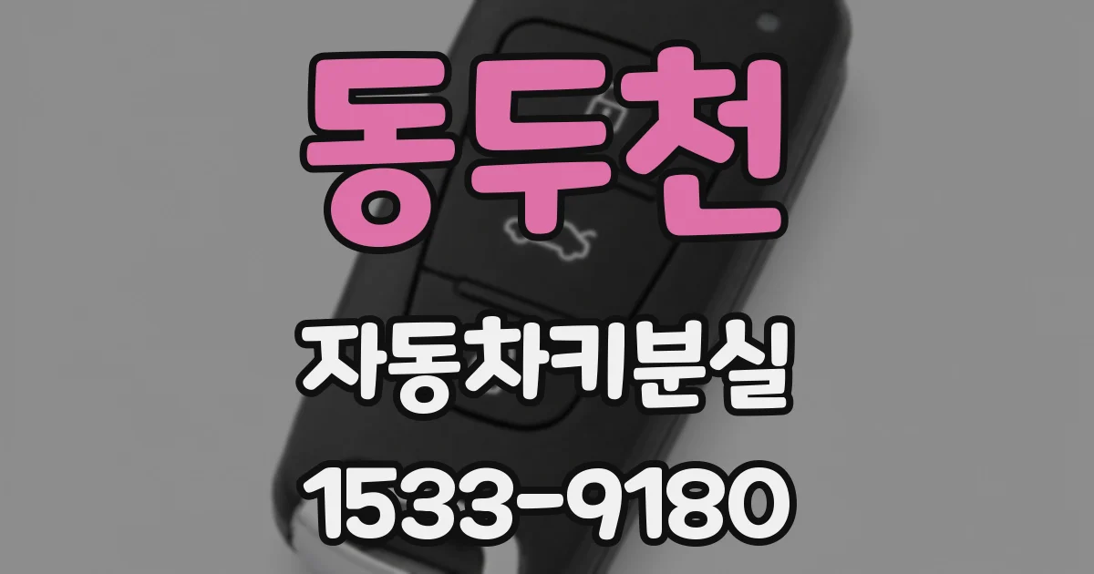 동두천 자동차키분실