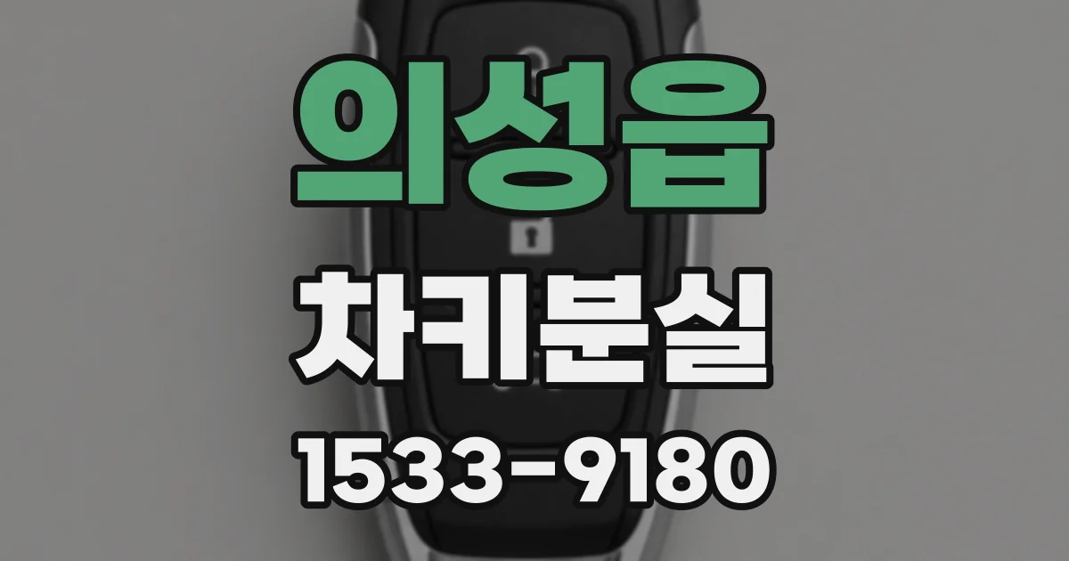 의성읍 차키분실