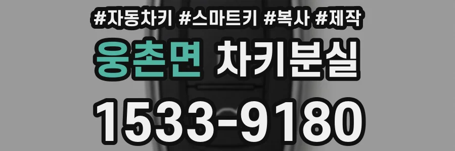 웅촌면 차키분실