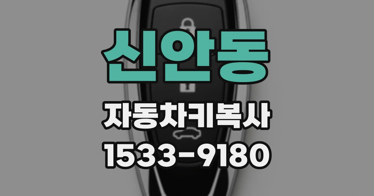 신안동 자동차키복사