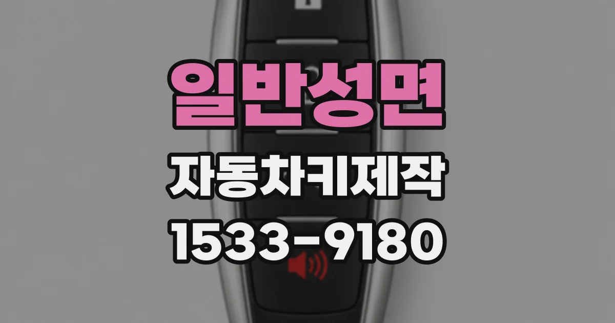 일반성면 자동차키제작