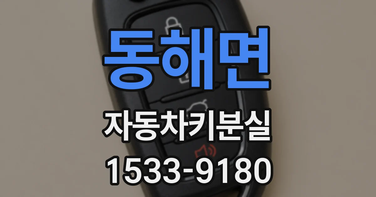 동해면 자동차키분실