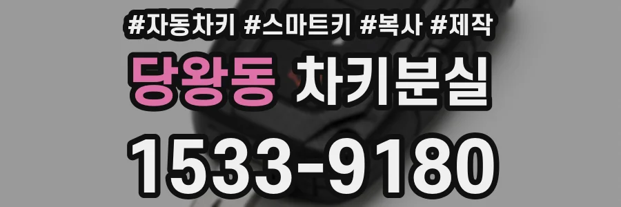 당왕동 차키분실