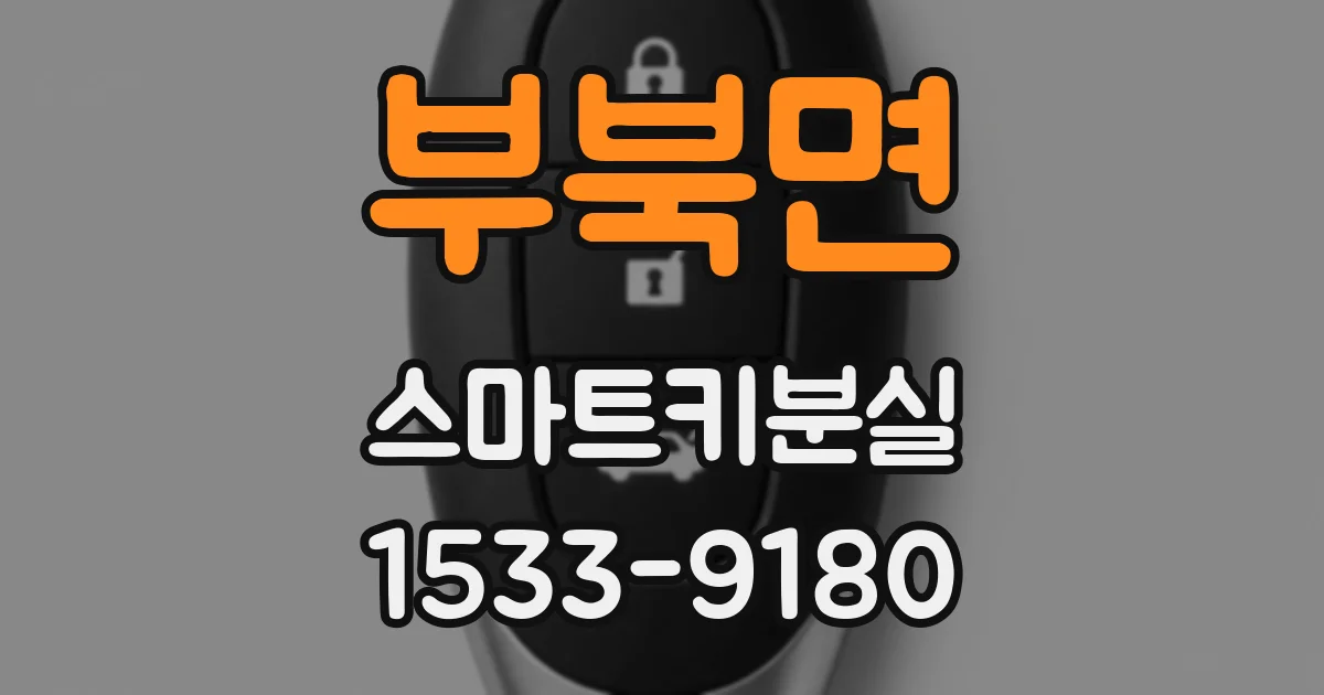 부북면 스마트키분실