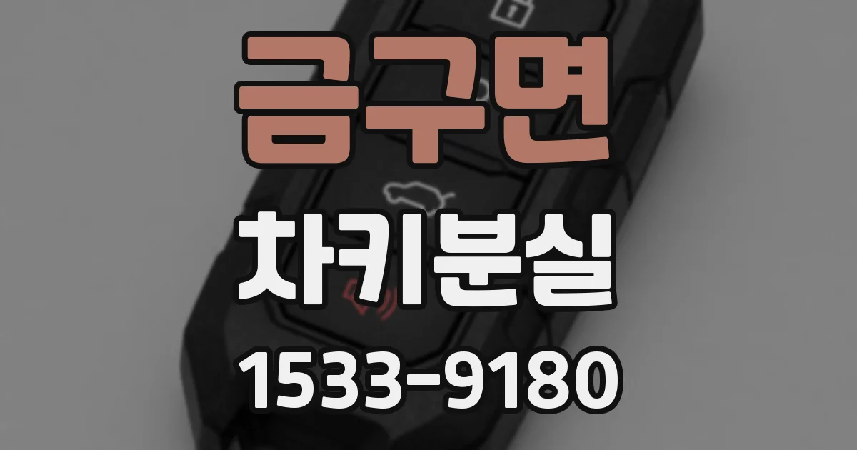금구면 차키분실