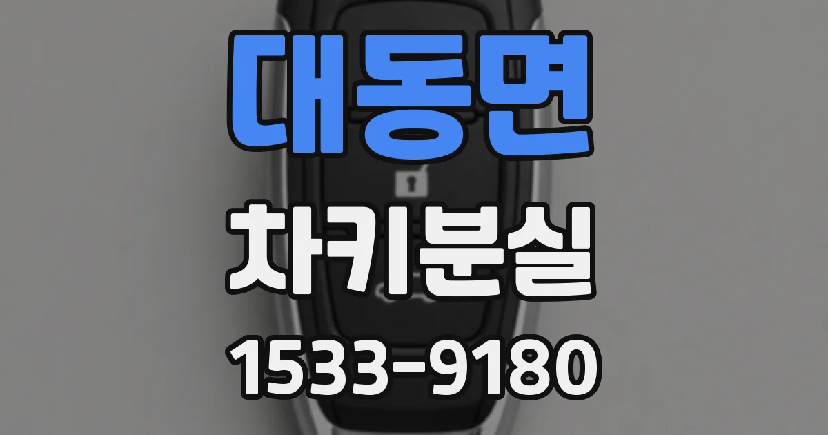 대동면 차키분실