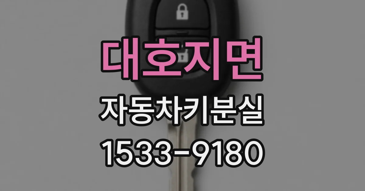 대호지면 자동차키분실