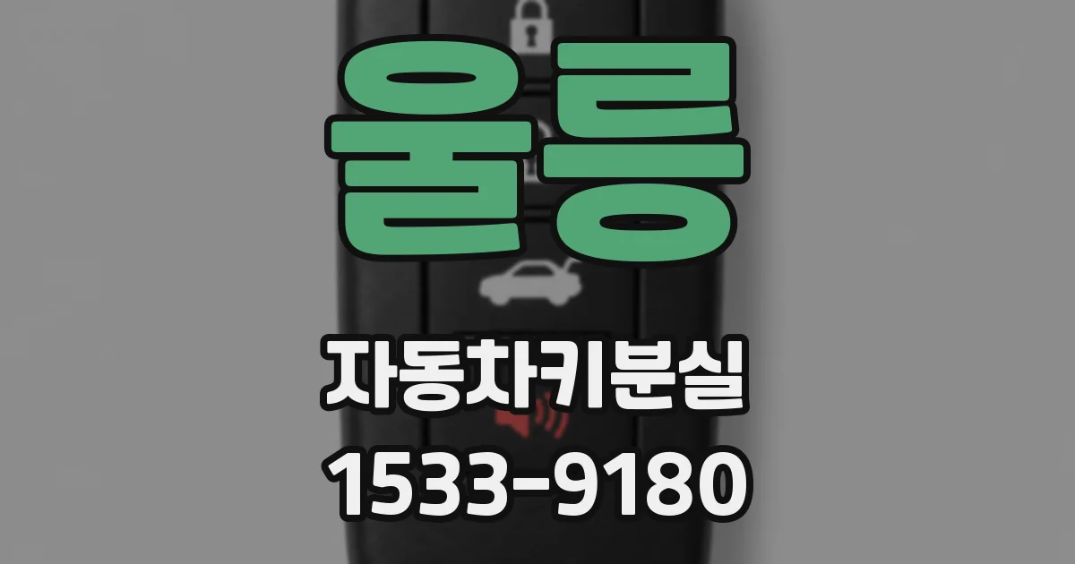 울릉 자동차키분실