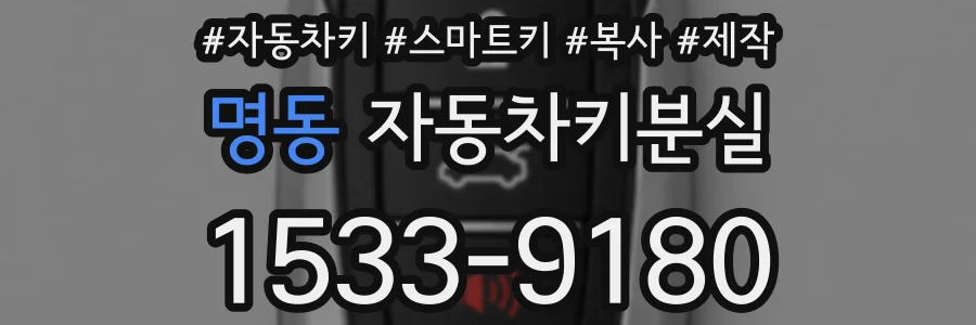 명동 자동차키분실