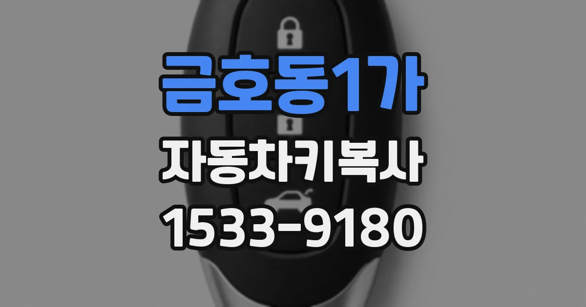금호동1가 자동차키복사