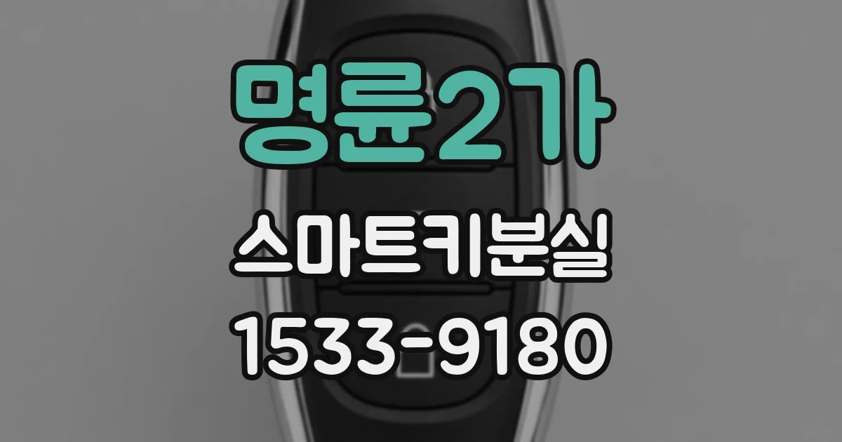 명륜2가 스마트키분실