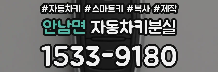 안남면 자동차키분실