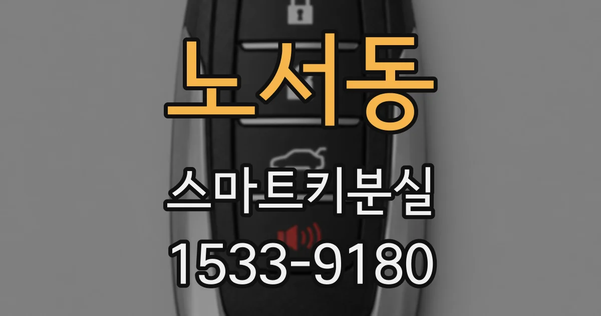 노서동 스마트키분실