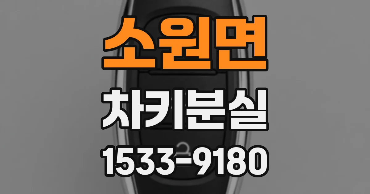 소원면 차키분실