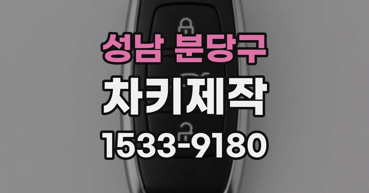성남 분당구 차키제작