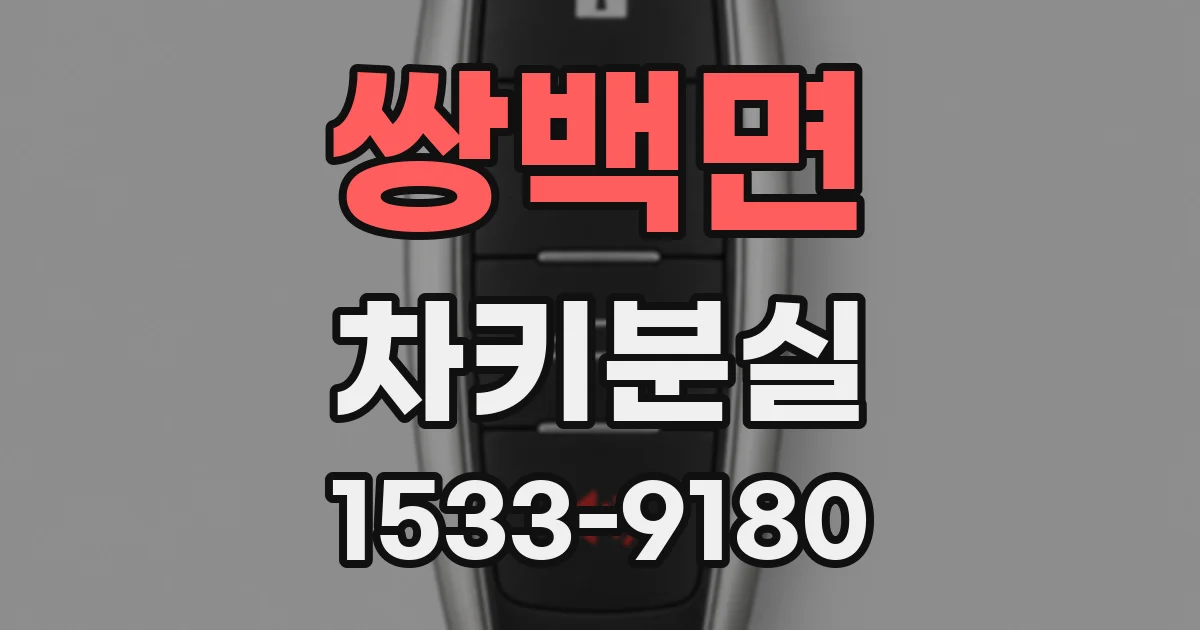 쌍백면 차키분실