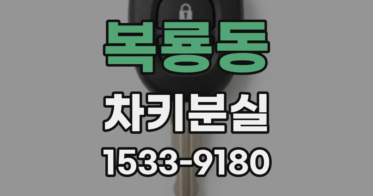 복룡동 차키분실