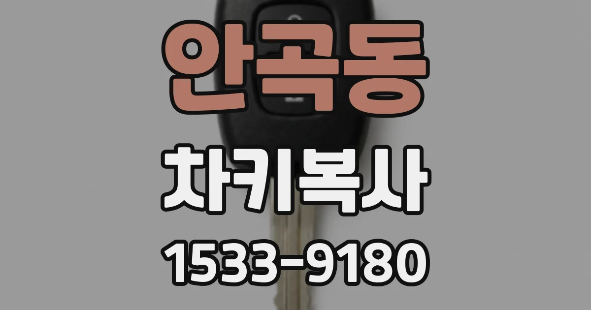 안곡동 차키복사
