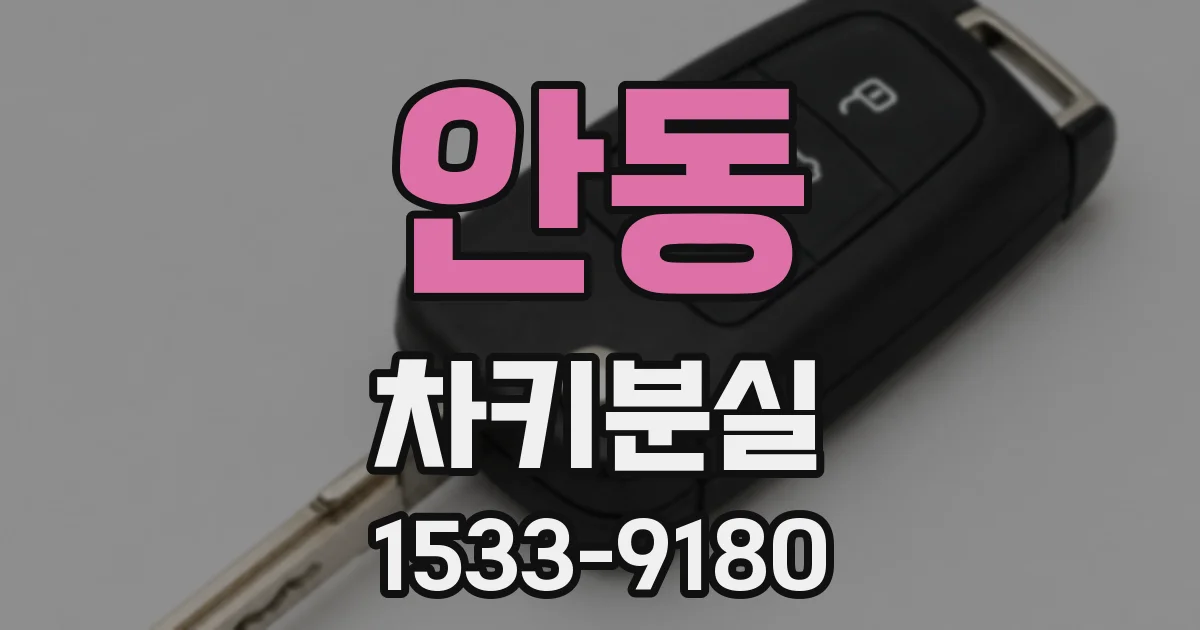 안동 차키분실