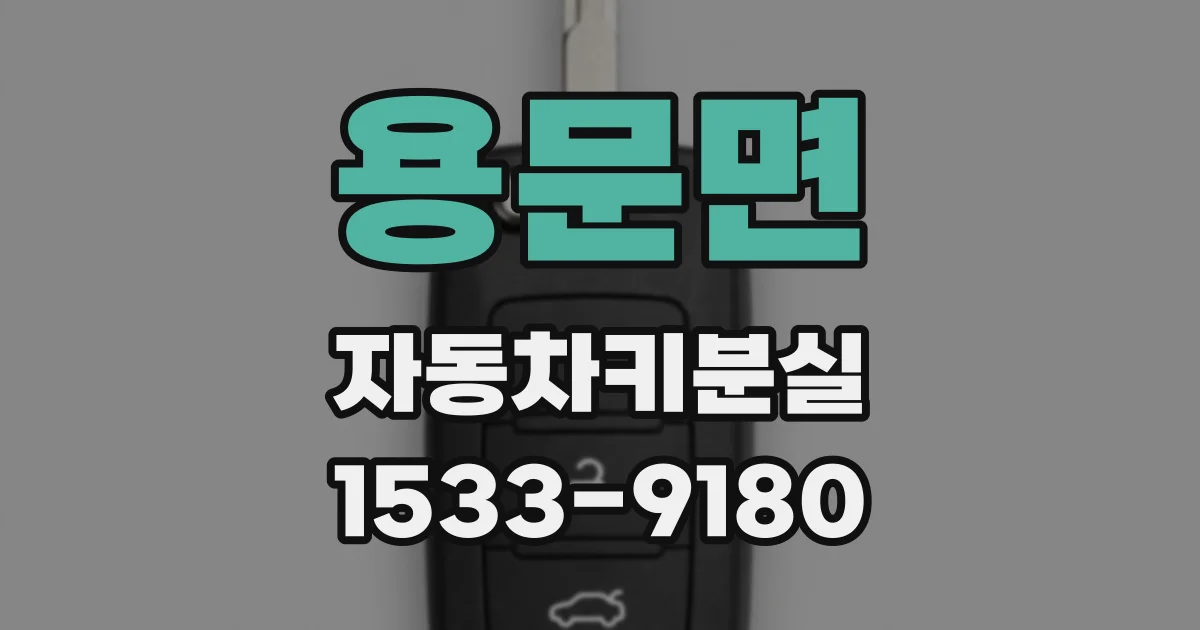 용문면 자동차키분실