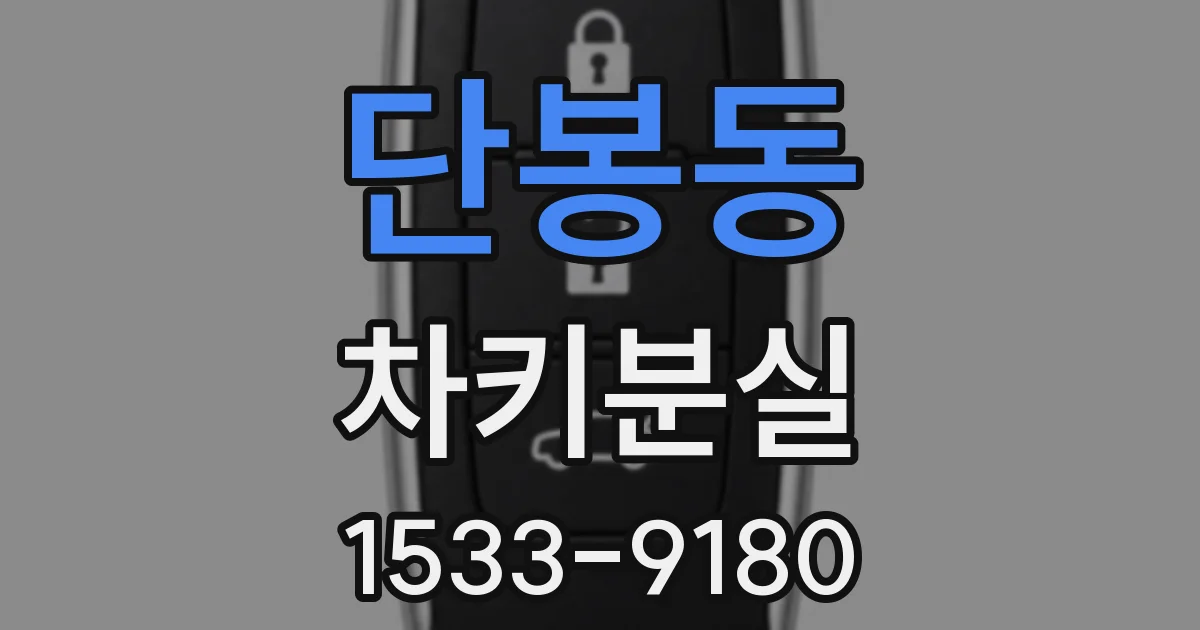 단봉동 차키분실