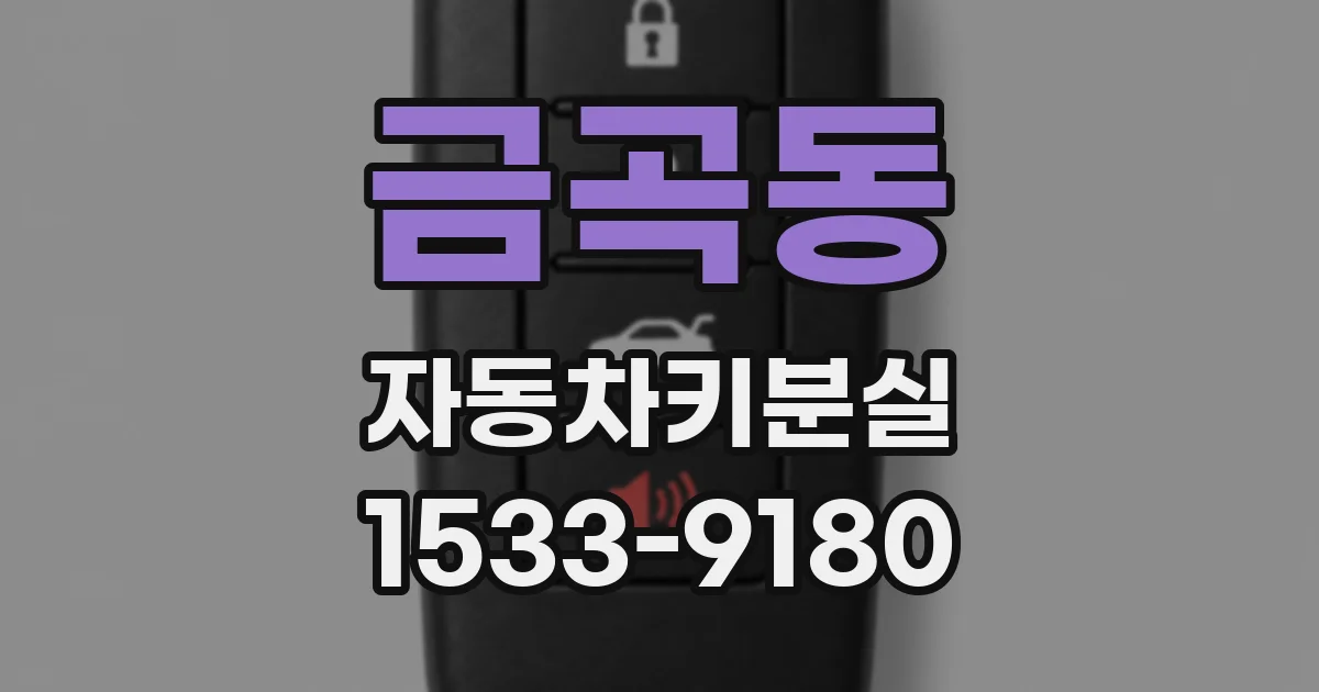 금곡동 자동차키분실