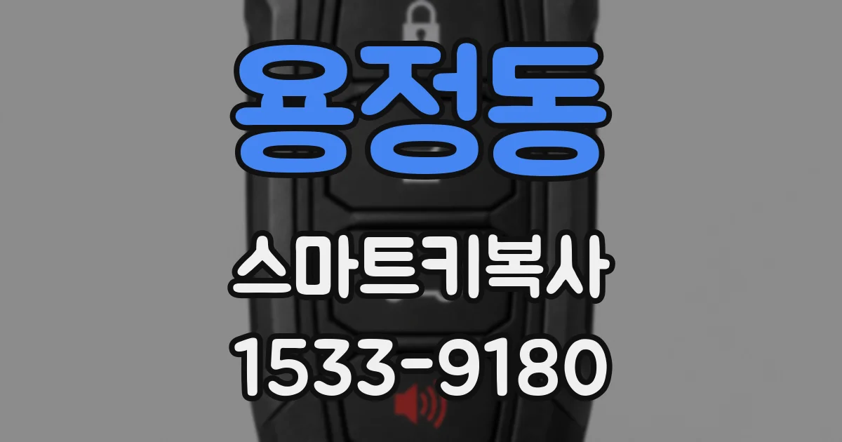 용정동 스마트키복사