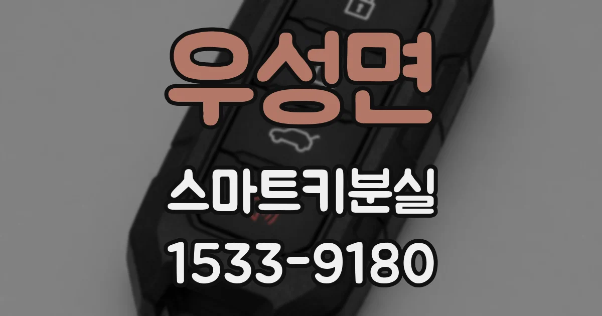 우성면 스마트키분실