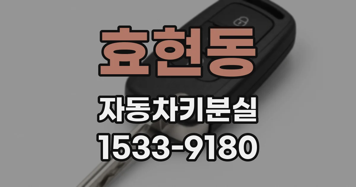 효현동 자동차키분실