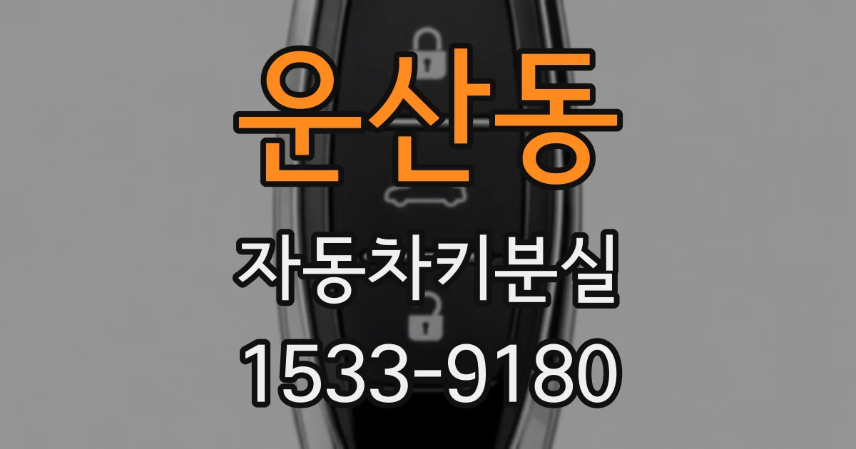 운산동 자동차키분실