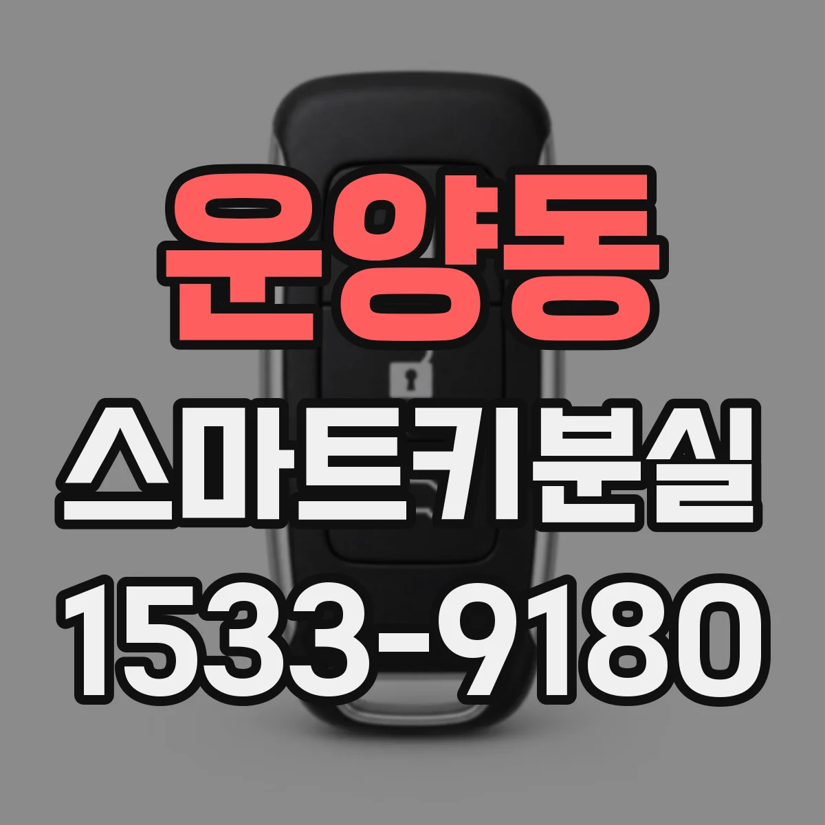 운양동 스마트키분실