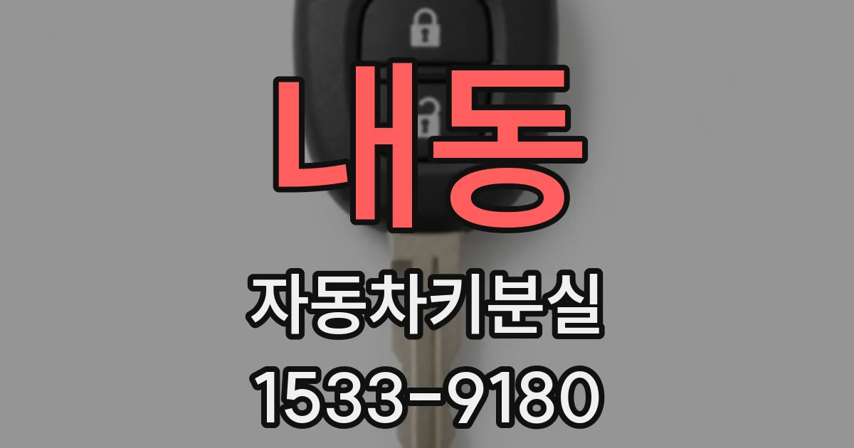 내동 자동차키분실