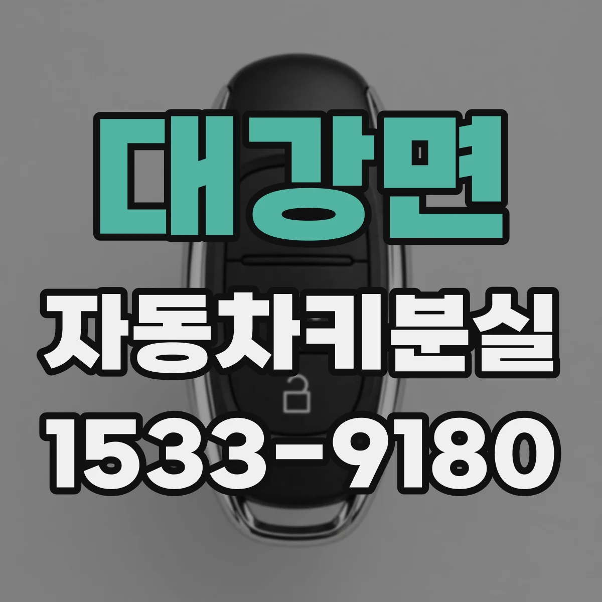 대강면 자동차키분실