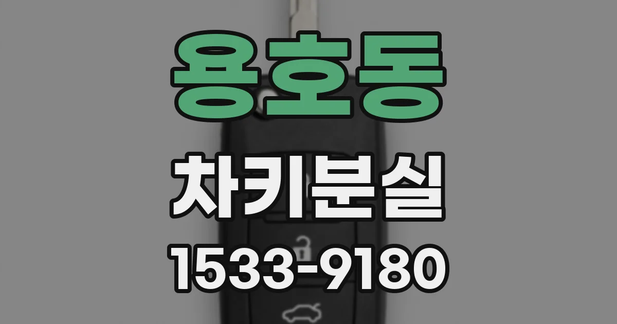 용호동 차키분실