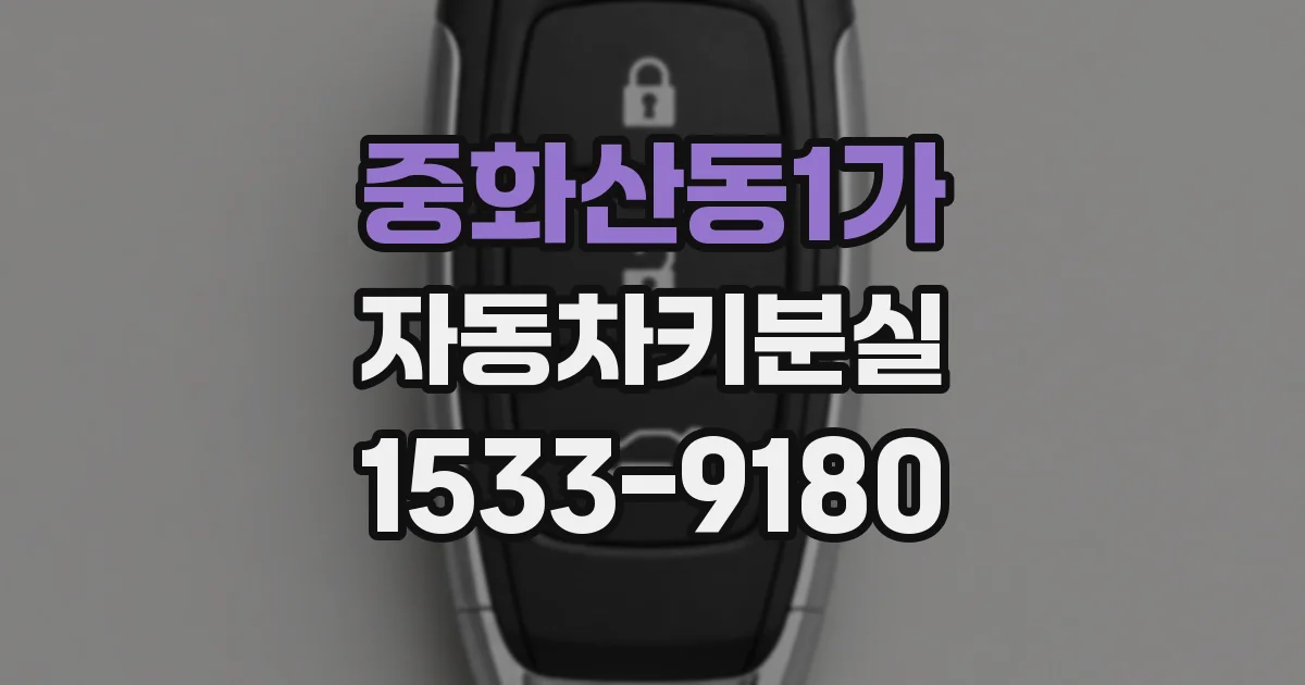 중화산동1가 자동차키분실