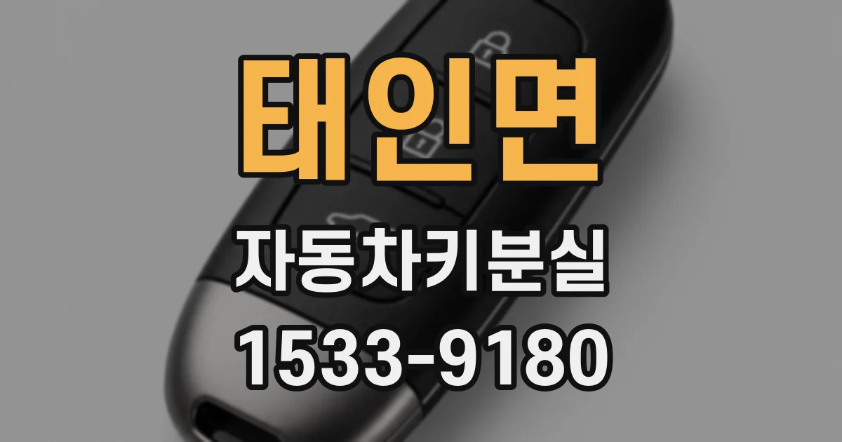 태인면 자동차키분실