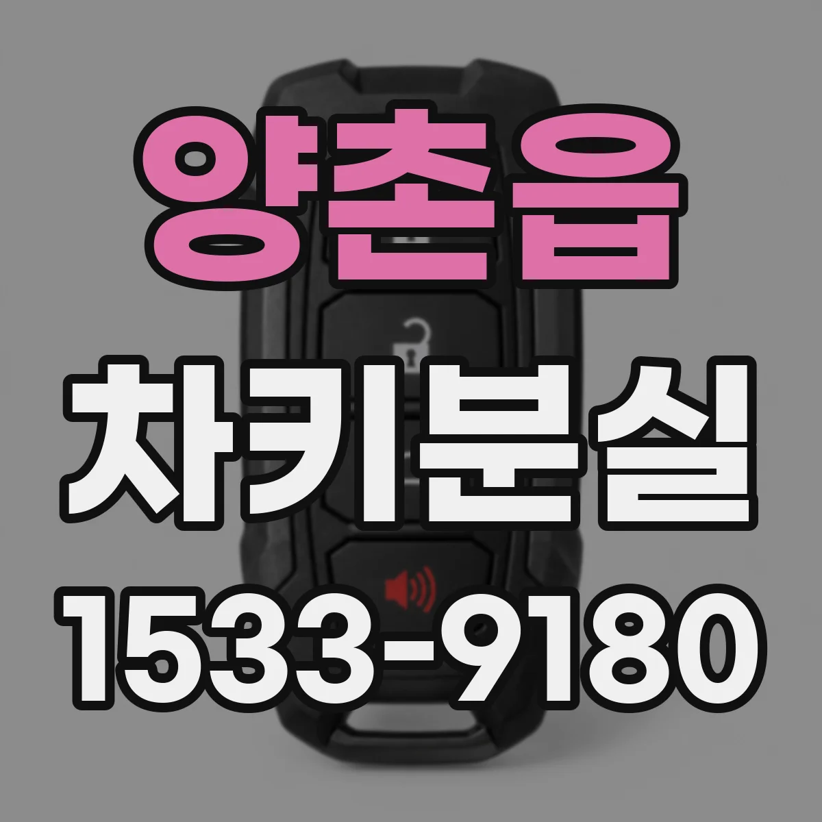 양촌읍 차키분실