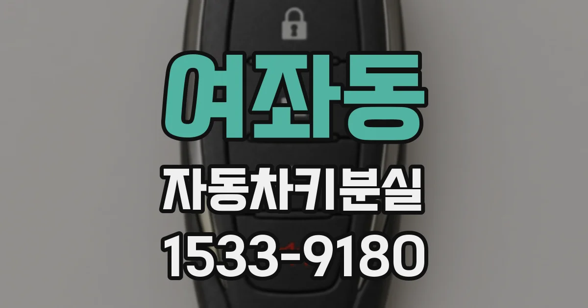 여좌동 자동차키분실