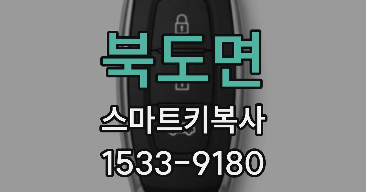 북도면 스마트키복사