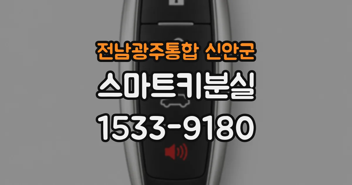 전남광주통합 신안군 스마트키분실