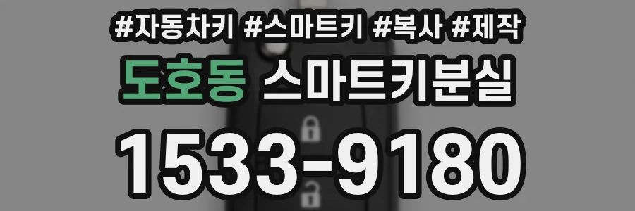 도호동 스마트키분실