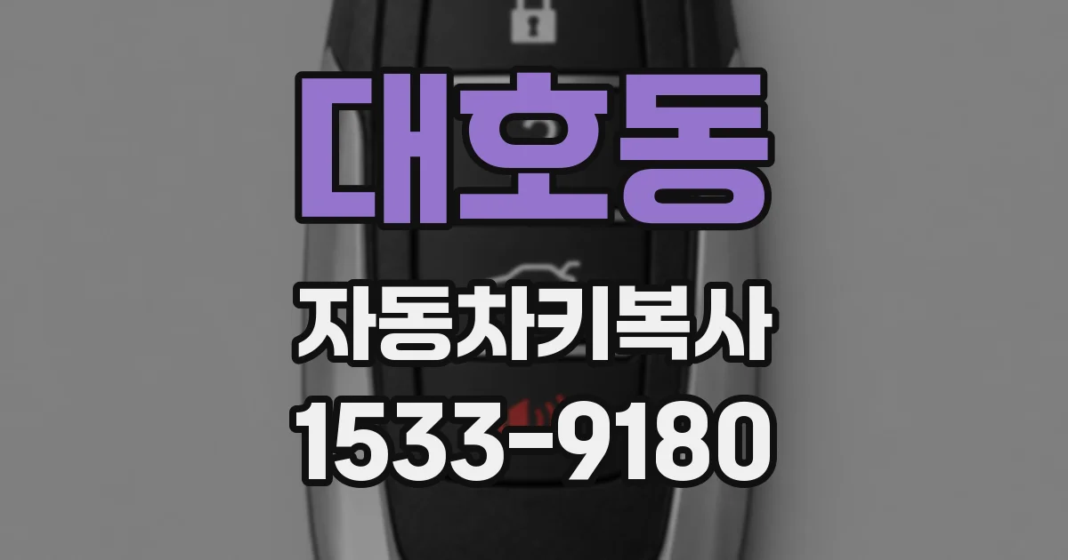 대호동 자동차키복사