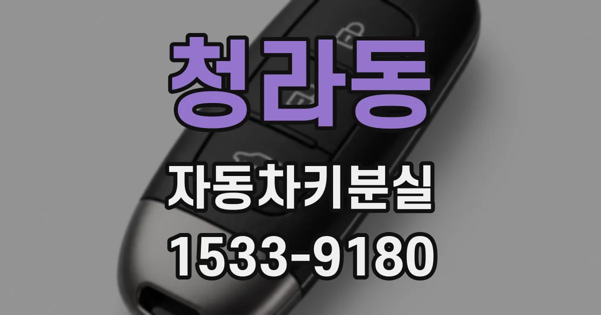 청라동 자동차키분실