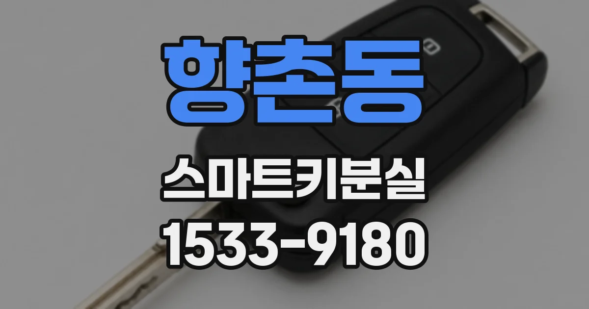 향촌동 스마트키분실