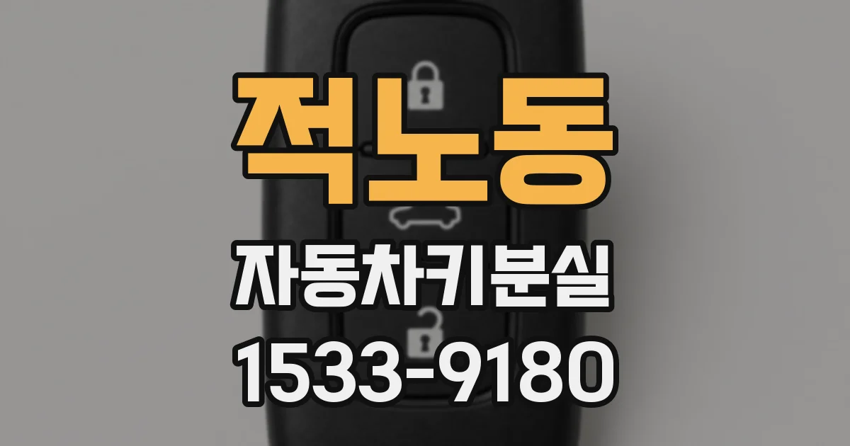 적노동 자동차키분실