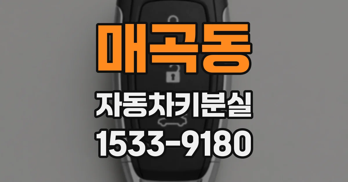 매곡동 자동차키분실