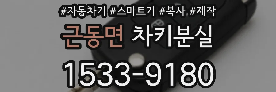 근동면 차키분실