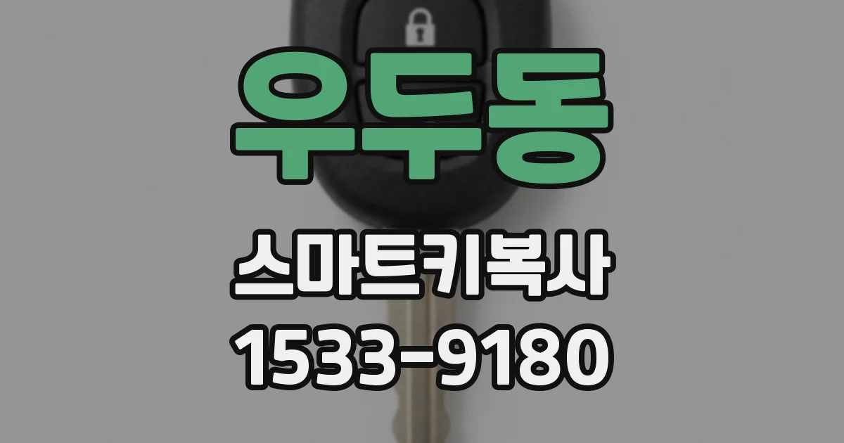 우두동 스마트키복사