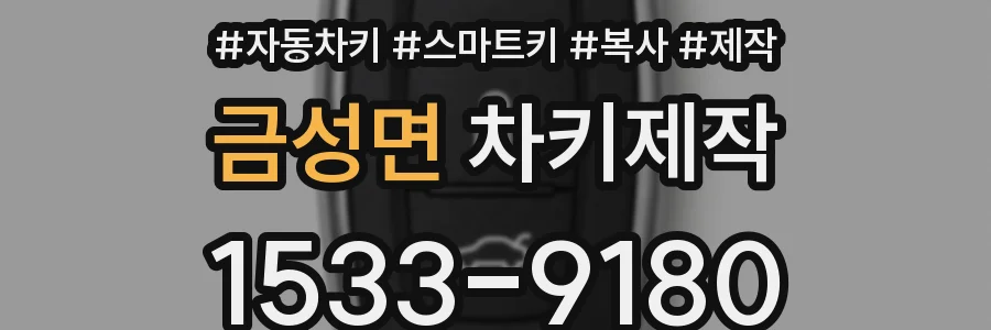 금성면 차키제작