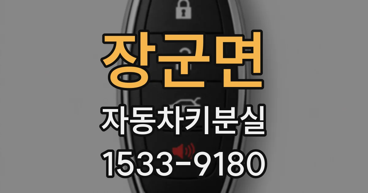 장군면 자동차키분실